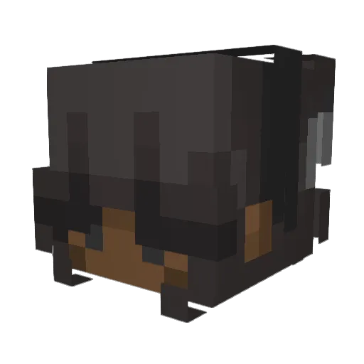 hinhin_s Minecraft avatar head, 3D render