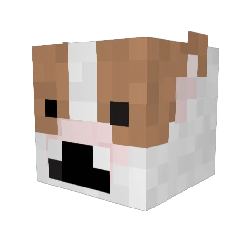 hinky14 Minecraft avatar head, 3D render