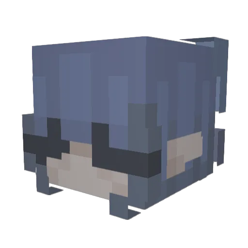 hinqtq Minecraft avatar head, 3D render