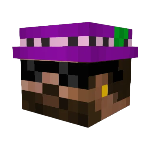 hipkin Minecraft avatar head, 3D render