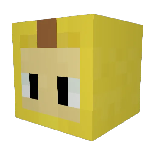 hippielittle Minecraft avatar head, 3D render