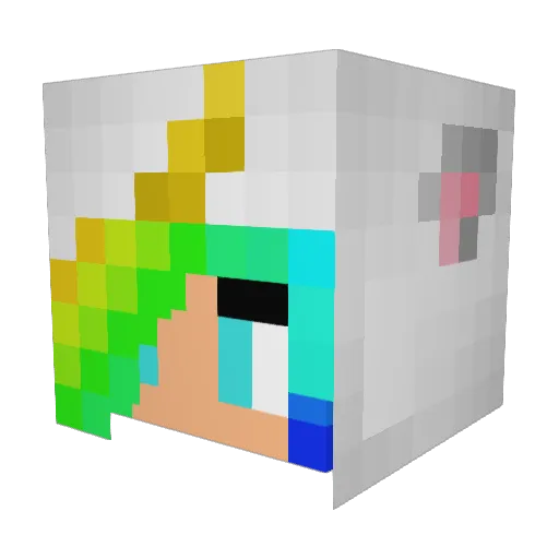 hippielover27 Minecraft avatar head, 3D render