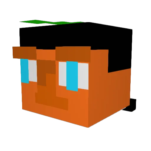 hippiespace Minecraft avatar head, 3D render