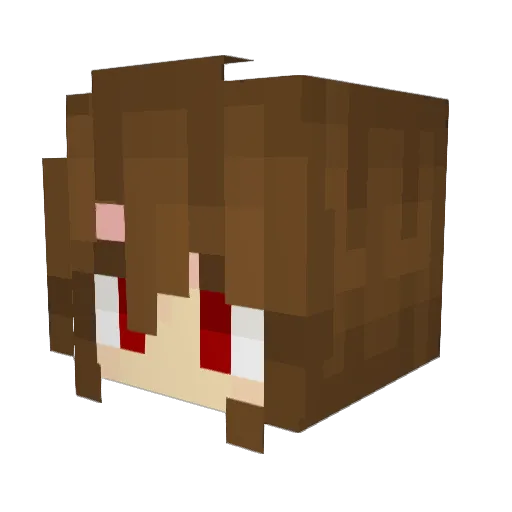 hippo5428 Minecraft avatar head, 3D render