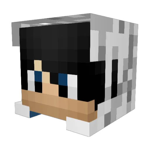 hippo576 Minecraft avatar head, 3D render