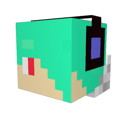 hippo_2004 Minecraft avatar head, 3D render