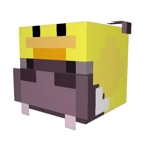 hippo_pp Minecraft avatar head, 3D render