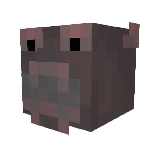 hippogjoe Minecraft avatar head, 3D render