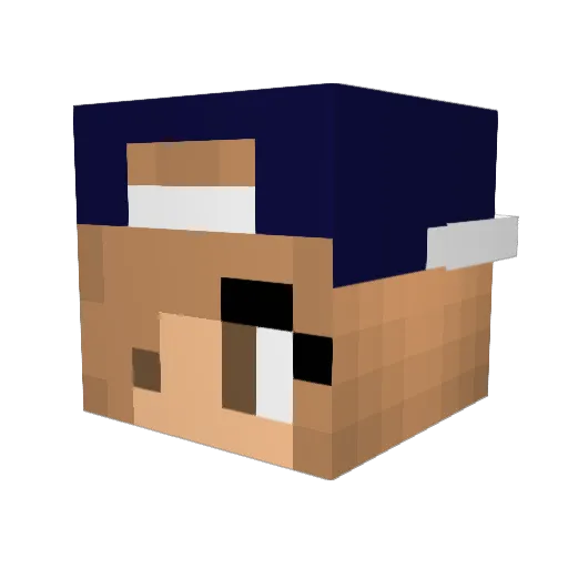 hippolover210 Minecraft avatar head, 3D render