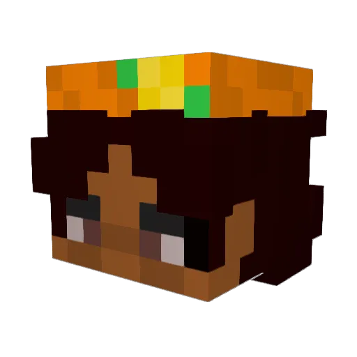hipriabge Minecraft avatar head, 3D render