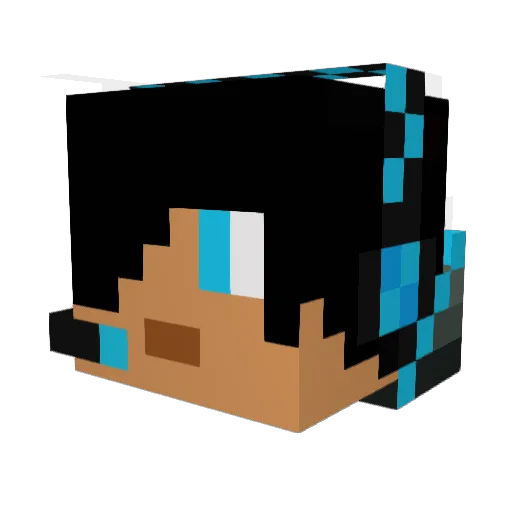 hired4diamonds Minecraft avatar head, 3D render