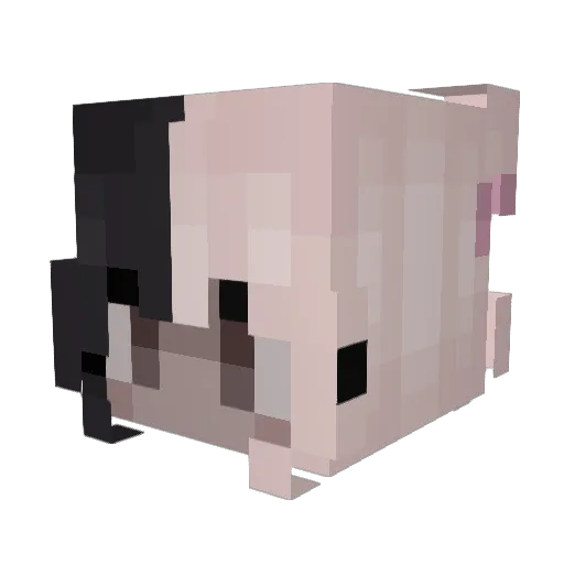 hiriiko Minecraft avatar head, 3D render