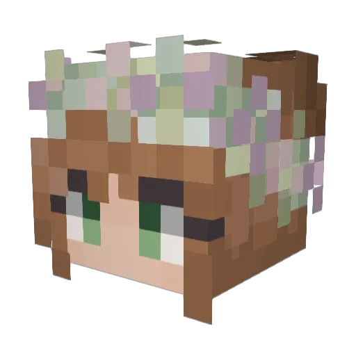 hirmaeth Minecraft avatar head, 3D render