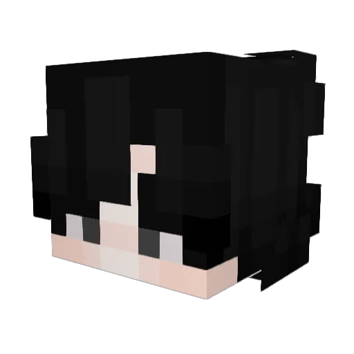 hiroasianboy Minecraft avatar head, 3D render