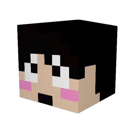 hiroct22 Minecraft avatar head, 3D render