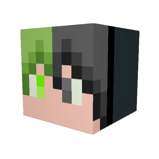 hiroto013724 Minecraft avatar head, 3D render