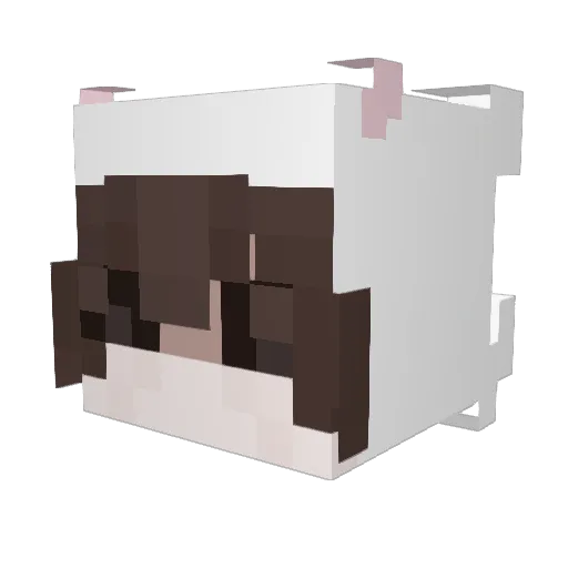 hirxyluv Minecraft avatar head, 3D render