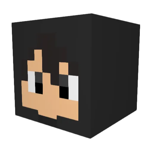 hisaaaaaa10 Minecraft avatar head, 3D render