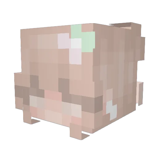 hisakotheweeb Minecraft avatar head, 3D render