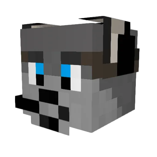 hism45 Minecraft avatar head, 3D render