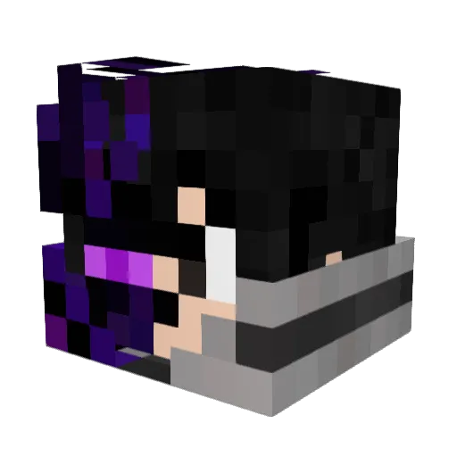 hisnameisblake Minecraft avatar head, 3D render