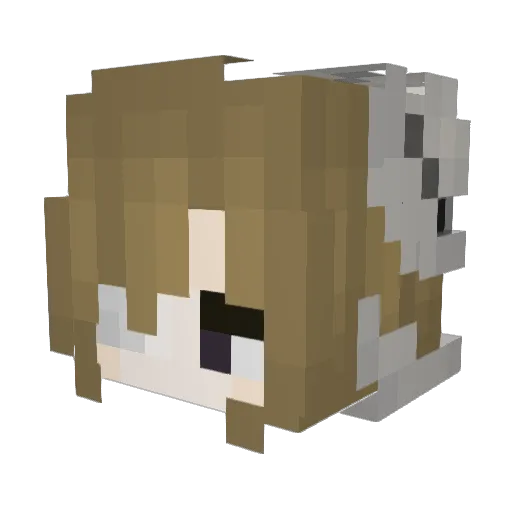 hisokou Minecraft avatar head, 3D render