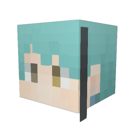 hisoku0502 Minecraft avatar head, 3D render