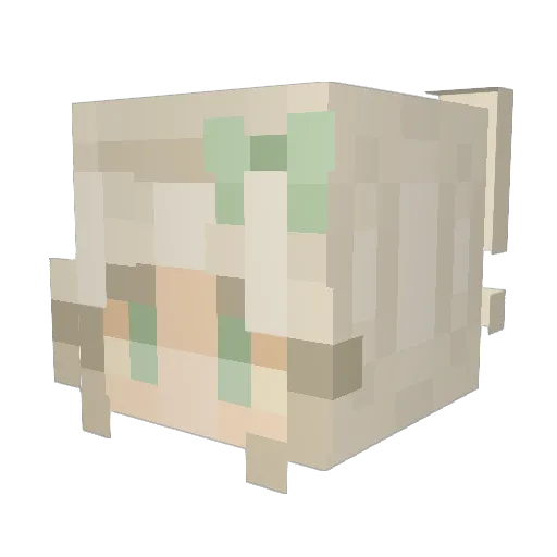 hisprout0612 Minecraft avatar head, 3D render