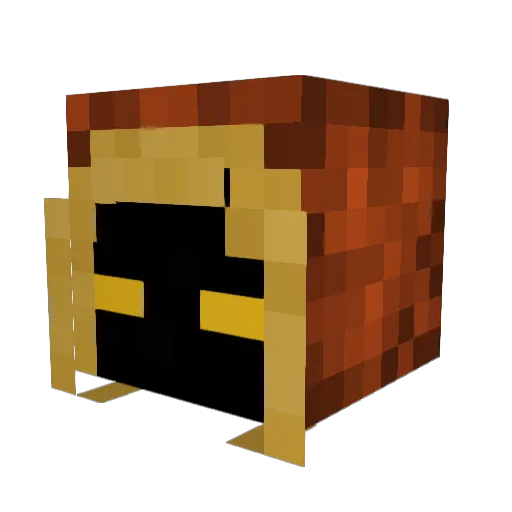 hiss1000 Minecraft avatar head, 3D render