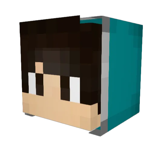 hissaogamer Minecraft avatar head, 3D render