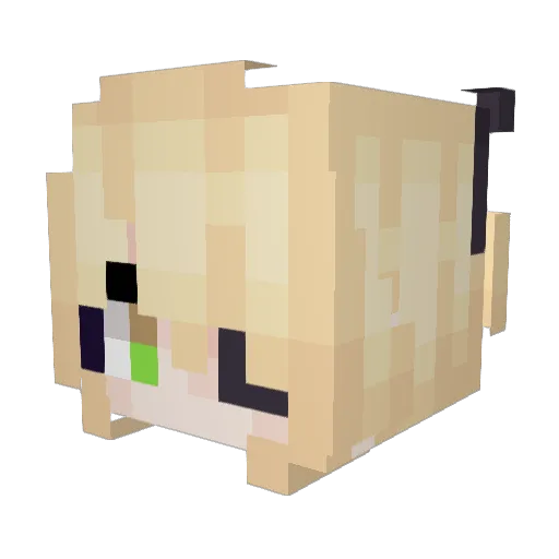 historialies Minecraft avatar head, 3D render