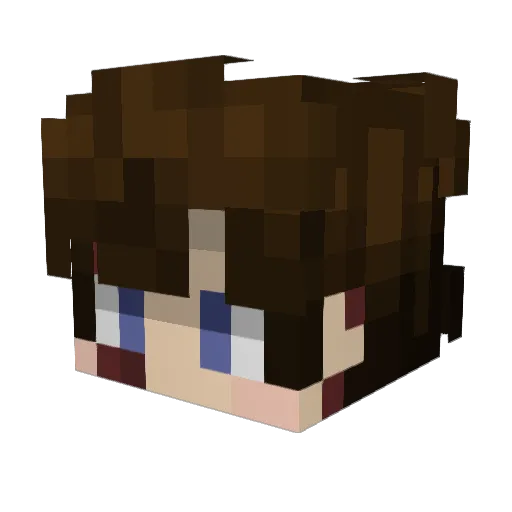 hisushi Minecraft avatar head, 3D render