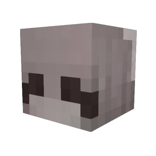 hit1nax Minecraft avatar head, 3D render