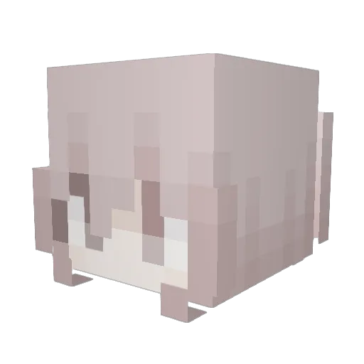 hitage Minecraft avatar head, 3D render