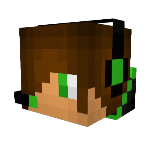 hitman1877 Minecraft avatar head, 3D render