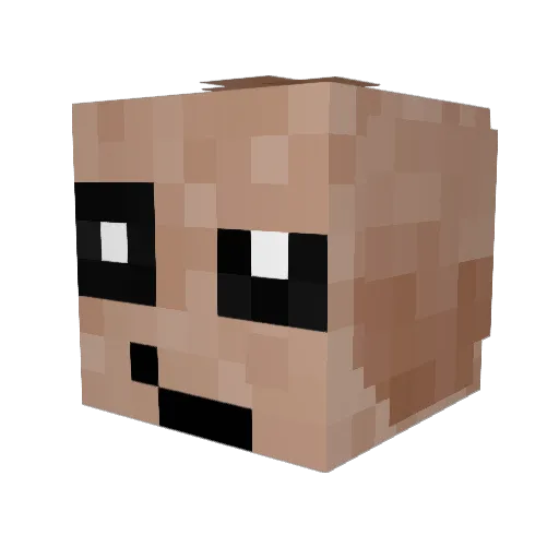 hitmontop69 Minecraft avatar head, 3D render