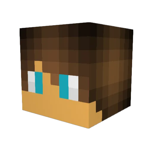 hitswill Minecraft avatar head, 3D render