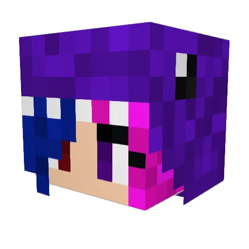 hive510 Minecraft avatar head, 3D render