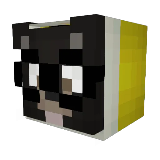 hivesexzy Minecraft avatar head, 3D render