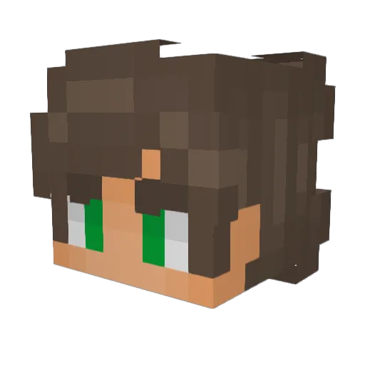 hiwashere Minecraft avatar head, 3D render