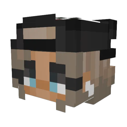 hixxsbog Minecraft avatar head, 3D render