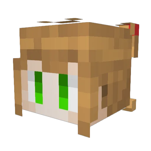 hiyocomet Minecraft avatar head, 3D render