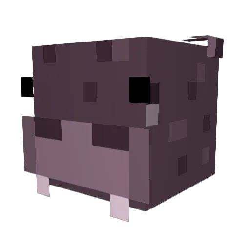 hjohnston18 Minecraft avatar head, 3D render
