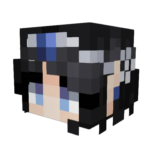 hjrrhjrr Minecraft avatar head, 3D render