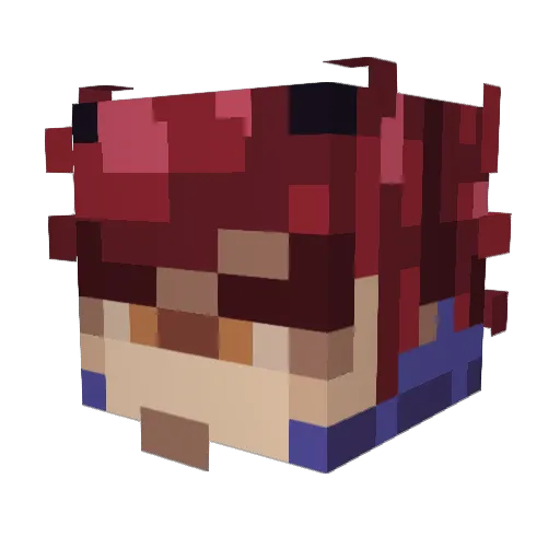 hjtcjbb Minecraft avatar head, 3D render