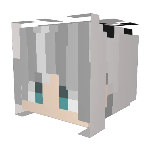 hjun817 Minecraft avatar head, 3D render
