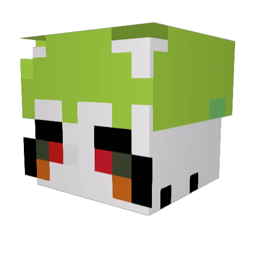 hjw77 Minecraft avatar head, 3D render