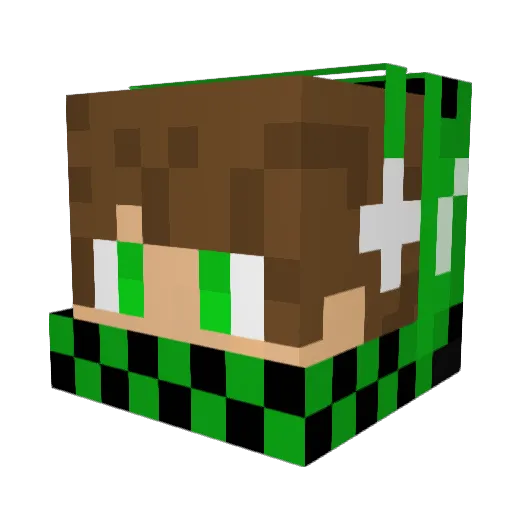 hkh500sl Minecraft avatar head, 3D render