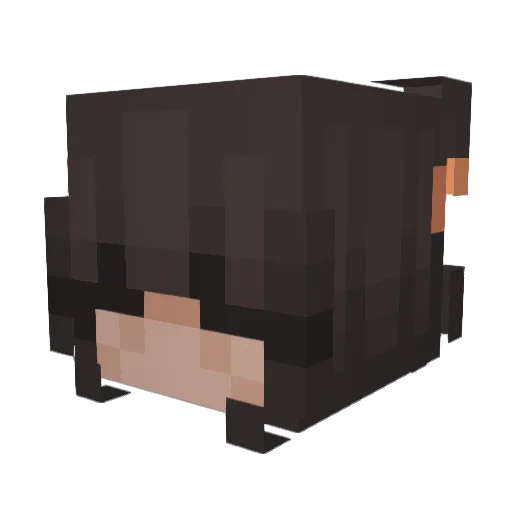 hkhou21 Minecraft avatar head, 3D render