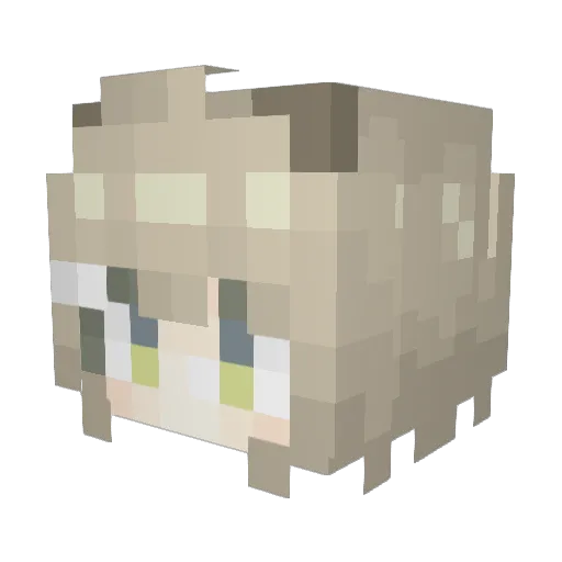 hkkkj Minecraft avatar head, 3D render